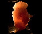 Olmiite Mineral